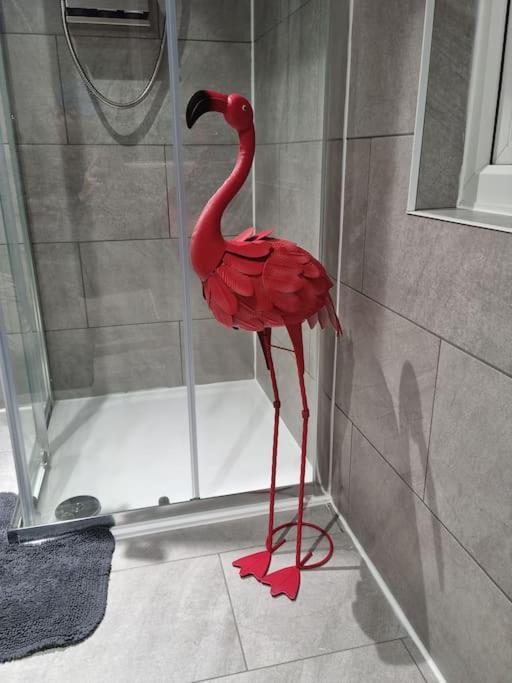 Flamingos Nest Oxford Countryside Apartment Oxford - Bicester Village - Blenheim Palace - Wifi- Free Parking Buitenkant foto